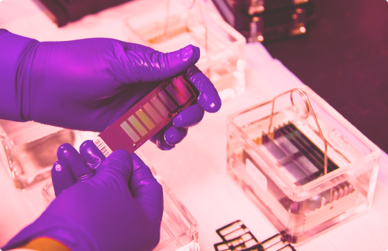 A laboratory Scientist